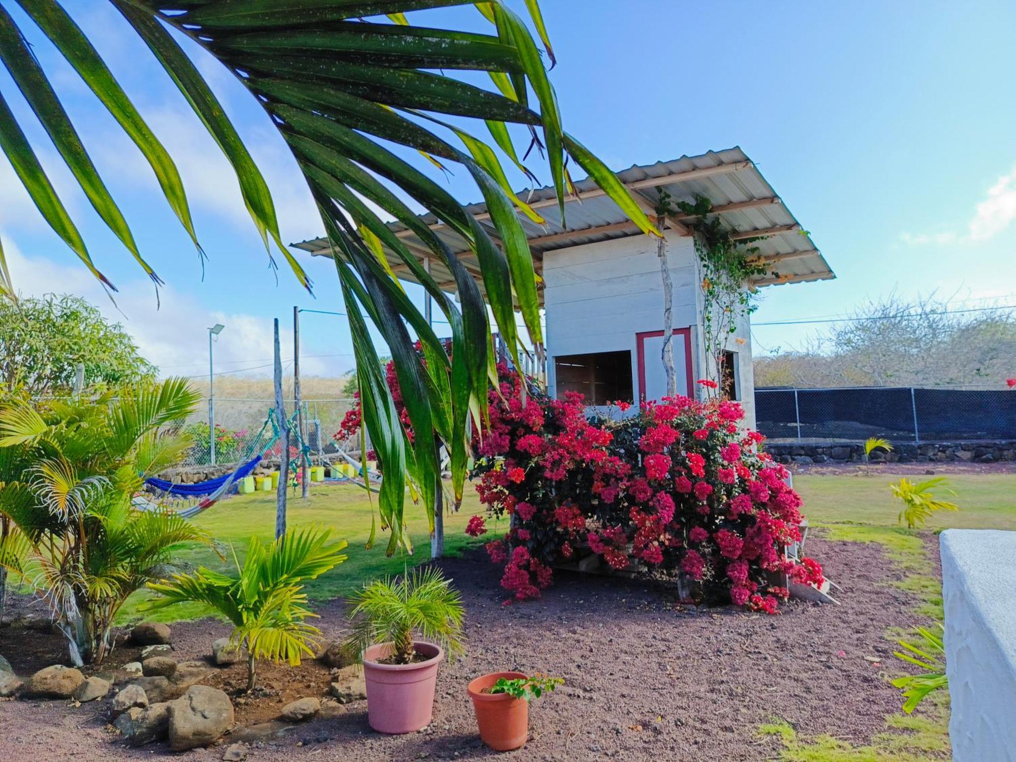 Habitacion Con Bano, Cocina E Internet Satelital Starlink Puerto Baquerizo Moreno Zewnętrze zdjęcie